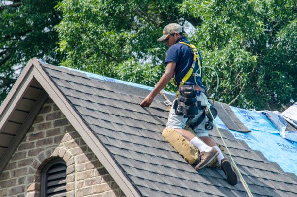 Best Roof Repair Services  in Rafter J Ranch, WY